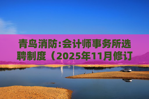 青鸟消防:会计师事务所选聘制度（2025年11月修订）