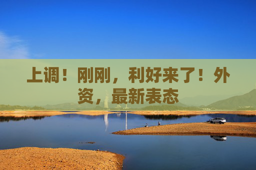 上调！刚刚，利好来了！外资，最新表态