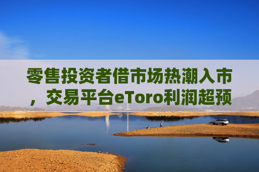 零售投资者借市场热潮入市，交易平台eToro利润超预期