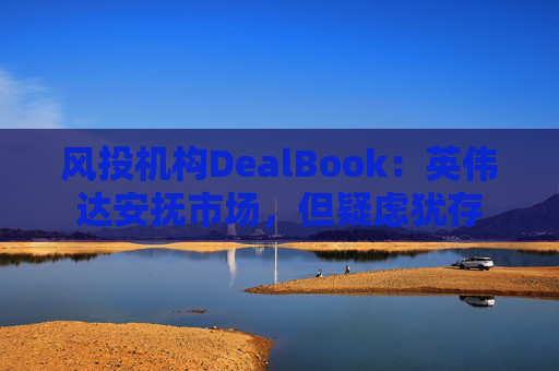 风投机构DealBook：英伟达安抚市场，但疑虑犹存