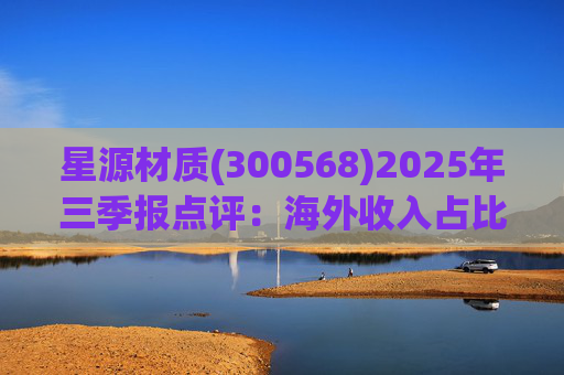 星源材质(300568)2025年三季报点评：海外收入占比提升 盈利水平改善