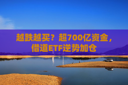 越跌越买？超700亿资金，借道ETF逆势加仓