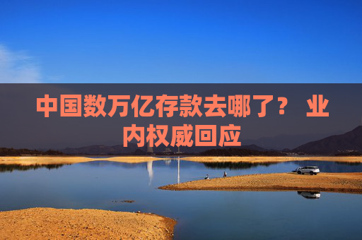 中国数万亿存款去哪了？ 业内权威回应
