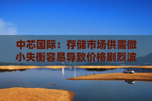 中芯国际：存储市场供需微小失衡容易导致价格剧烈波动