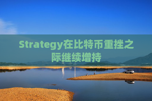 Strategy在比特币重挫之际继续增持