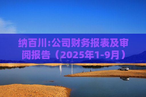 纳百川:公司财务报表及审阅报告（2025年1-9月）
