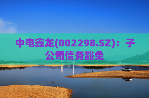 中电鑫龙(002298.SZ)：子公司债务豁免