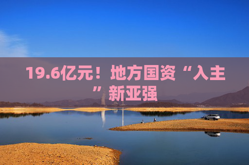 19.6亿元!地方国资“入主”新亚强 第1张 19.6亿元!地方国资“入主”新亚强 第1张