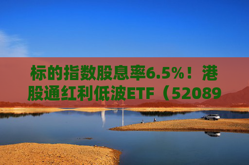 标的指数股息率6.5%!港股通红利低波ETF(520890)年末配置吸引力凸显 第1张 标的指数股息率6.5%!港股通红利低波ETF(520890)年末配置吸引力凸显 第1张
