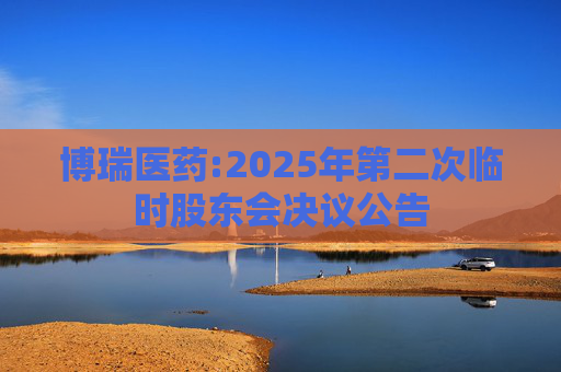 博瑞医药:2025年第二次临时股东会决议公告