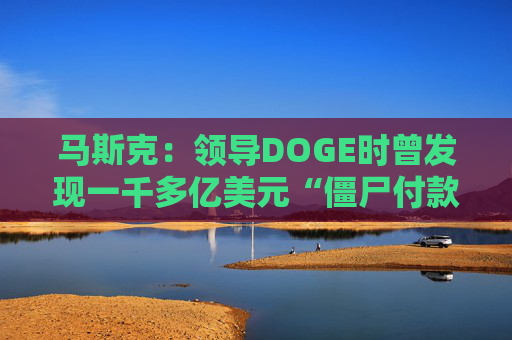 马斯克：领导DOGE时曾发现一千多亿美元“僵尸付款”