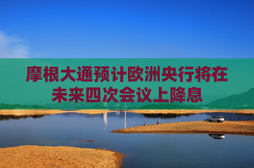 摩根大通预计欧洲央行将在未来四次会议上降息  第1张
