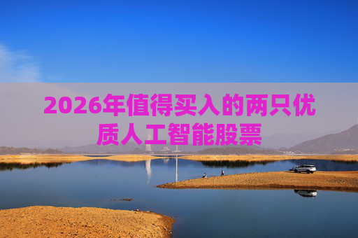 2026年值得买入的两只优质人工智能股票