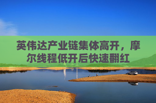 英伟达产业链集体高开，摩尔线程低开后快速翻红