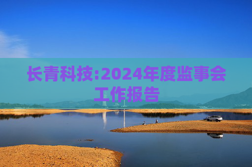 长青科技:2024年度监事会工作报告  第1张