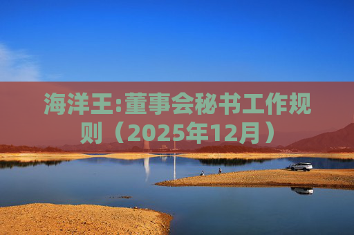 海洋王:董事会秘书工作规则（2025年12月）