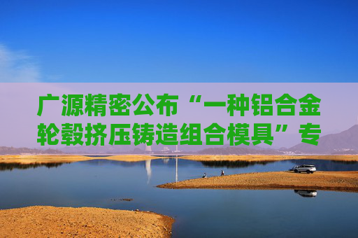 广源精密公布“一种铝合金轮毂挤压铸造组合模具”专利