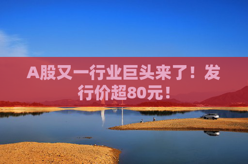 A股又一行业巨头来了!发行价超80元! 第1张 A股又一行业巨头来了!发行价超80元! 第1张