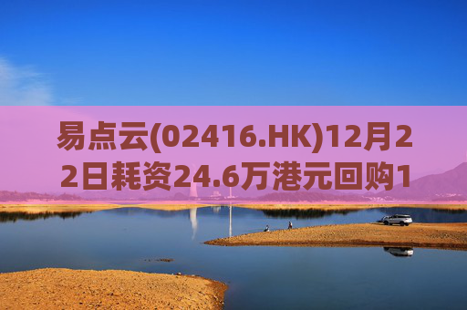 易点云(02416.HK)12月22日耗资24.6万港元回购12万股