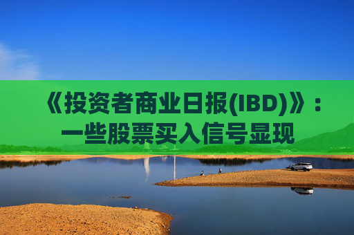 《投资者商业日报(IBD)》：一些股票买入信号显现