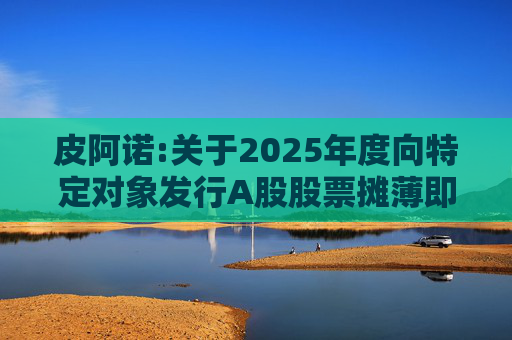 皮阿诺:关于2025年度向特定对象发行A股股票摊薄即期回报及采取填补措施、相关主体承诺的公告