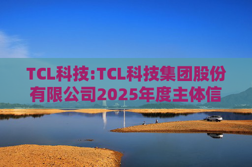 TCL科技:TCL科技集团股份有限公司2025年度主体信用评级报告