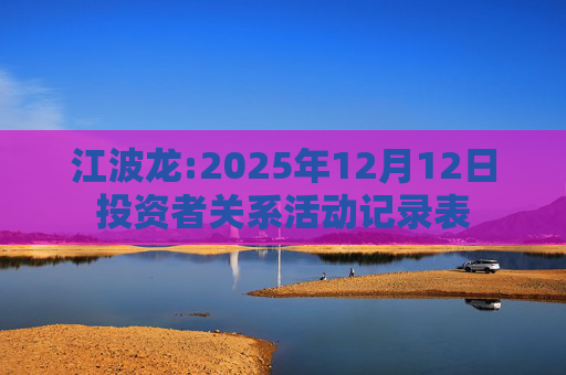 江波龙:2025年12月12日投资者关系活动记录表