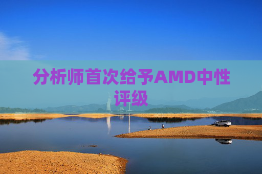 分析师首次给予AMD中性评级