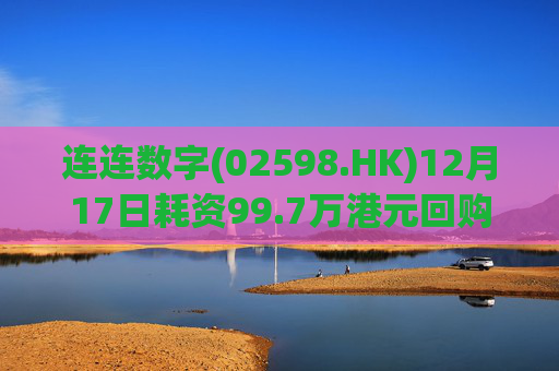 连连数字(02598.HK)12月17日耗资99.7万港元回购15.9万股