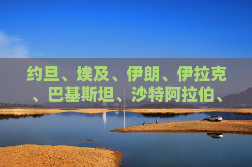 约旦、埃及、伊朗、伊拉克、巴基斯坦、沙特阿拉伯、土耳其等发表联合声明