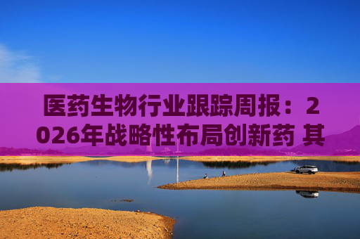 医药生物行业跟踪周报：2026年战略性布局创新药 其性价比高