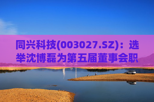 同兴科技(003027.SZ)：选举沈博磊为第五届董事会职工代表董事