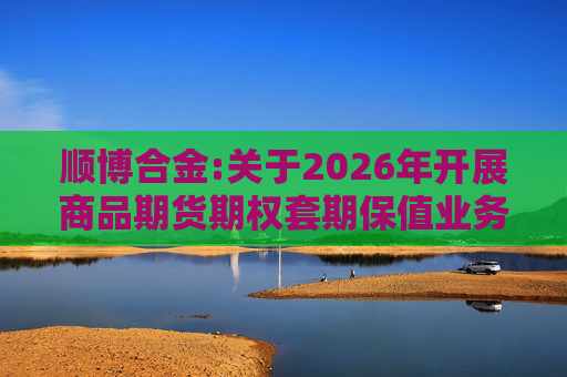 顺博合金:关于2026年开展商品期货期权套期保值业务的公告