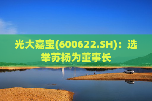 光大嘉宝(600622.SH)：选举苏扬为董事长