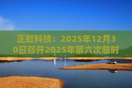 正虹科技：2025年12月30日召开2025年第六次临时股东会