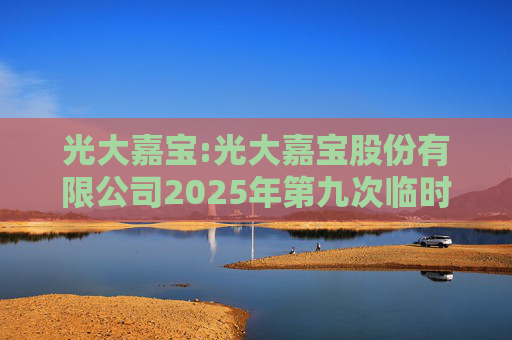 光大嘉宝:光大嘉宝股份有限公司2025年第九次临时股东会决议公告