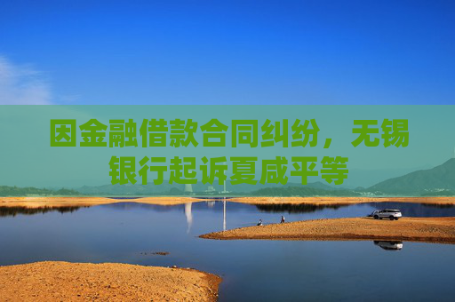 因金融借款合同纠纷，无锡银行起诉夏咸平等