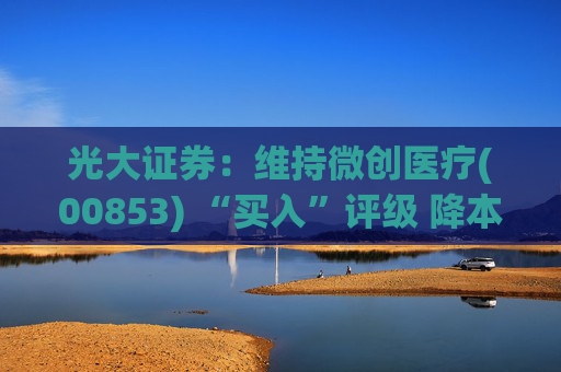 光大证券：维持微创医疗(00853) “买入”评级 降本增效成果显著