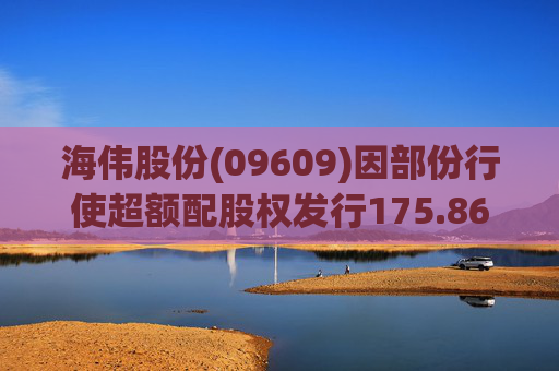 海伟股份(09609)因部份行使超额配股权发行175.86万股