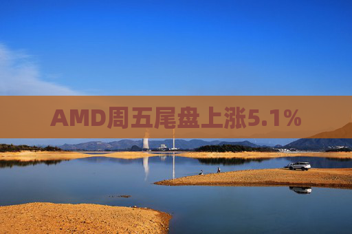 AMD周五尾盘上涨5.1%