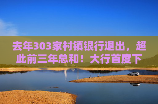去年303家村镇银行退出，超此前三年总和！大行首度下场，中小银行减量提质加速推进
