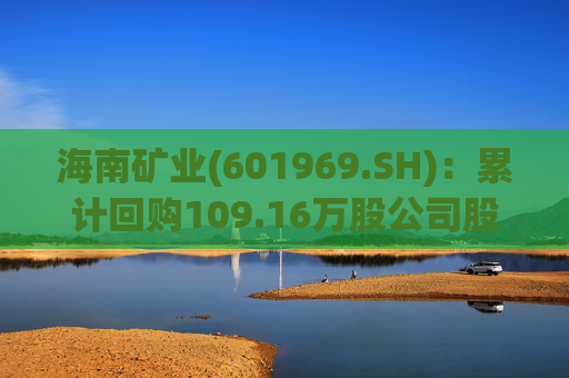 海南矿业(601969.SH)：累计回购109.16万股公司股份