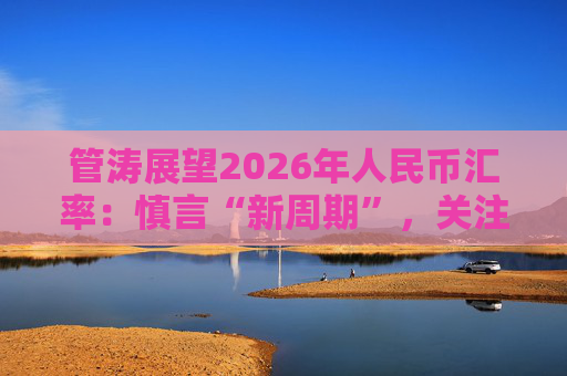 管涛展望2026年人民币汇率：慎言“新周期”，关注多因素博弈  第1张