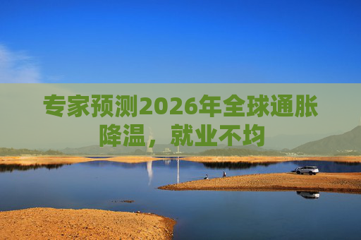 专家预测2026年全球通胀降温，就业不均
