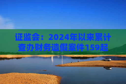 证监会：2024年以来累计查办财务造假案件159起