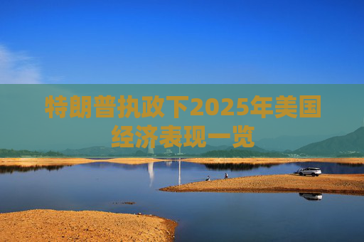 特朗普执政下2025年美国经济表现一览
