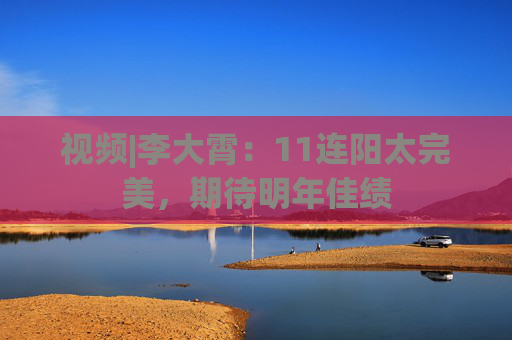 视频|李大霄：11连阳太完美，期待明年佳绩