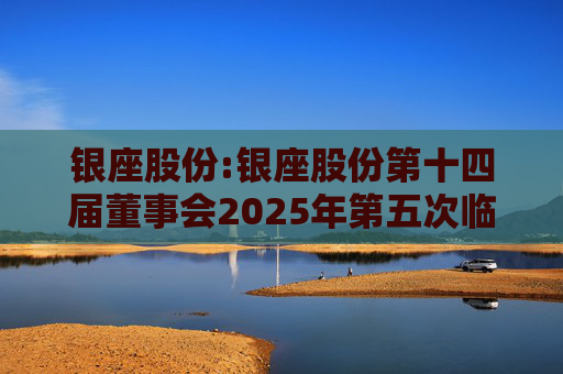 银座股份:银座股份第十四届董事会2025年第五次临时会议决议公告
