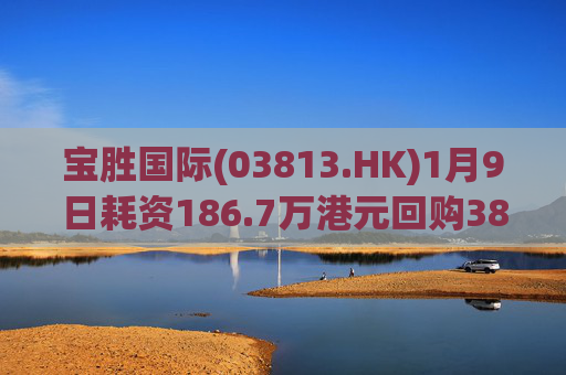 宝胜国际(03813.HK)1月9日耗资186.7万港元回购385万股