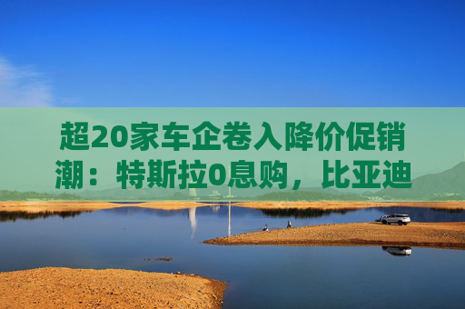 超20家车企卷入降价促销潮：特斯拉0息购，比亚迪杀入8万区间  第1张